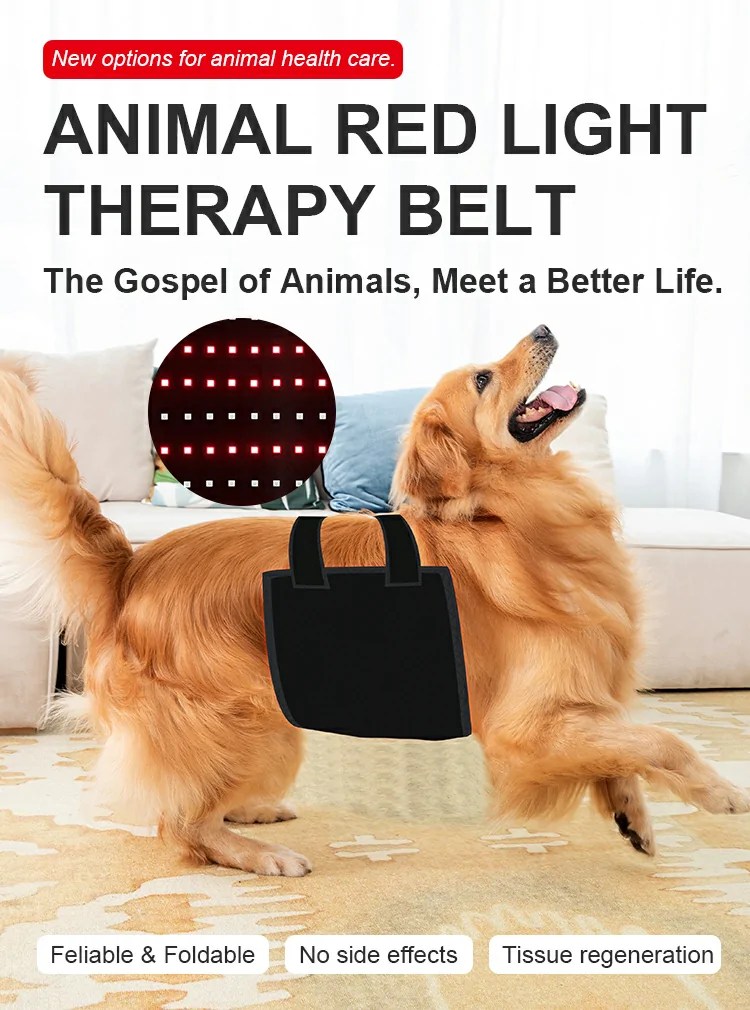 Revolutionizing Pet Health with Red Light Therapy SGROW