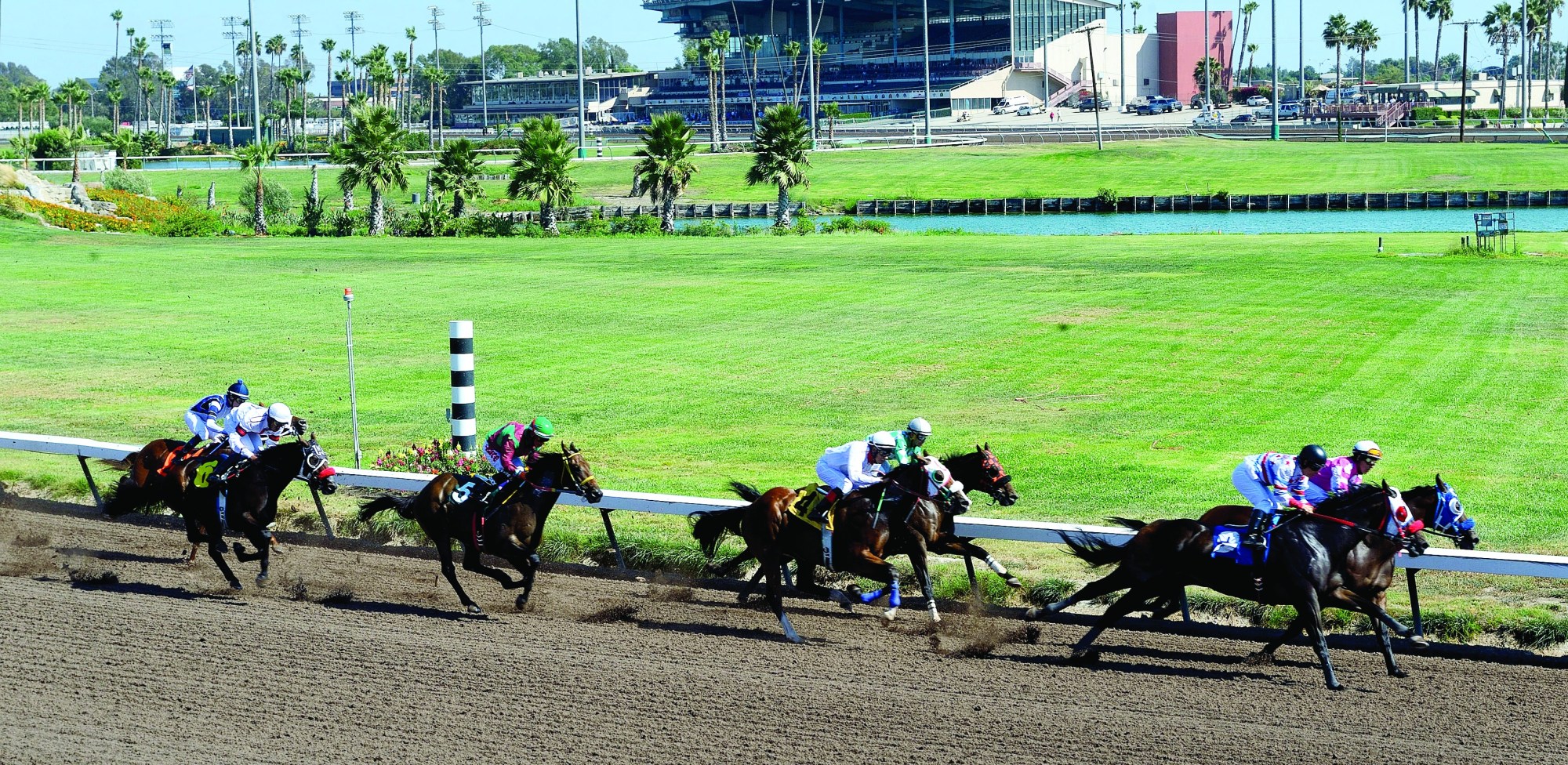Consensus Horse Racing Picks for Los Alamitos Races on December 13, 2025