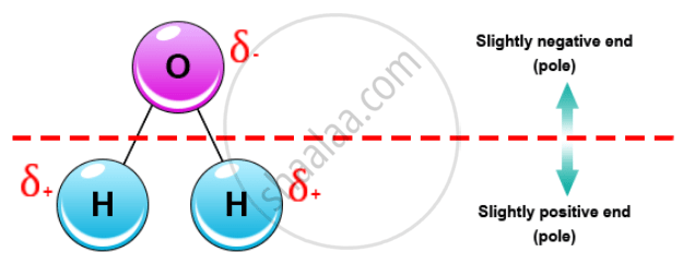 Explain the Following Water is a Polar Covalent Molecule