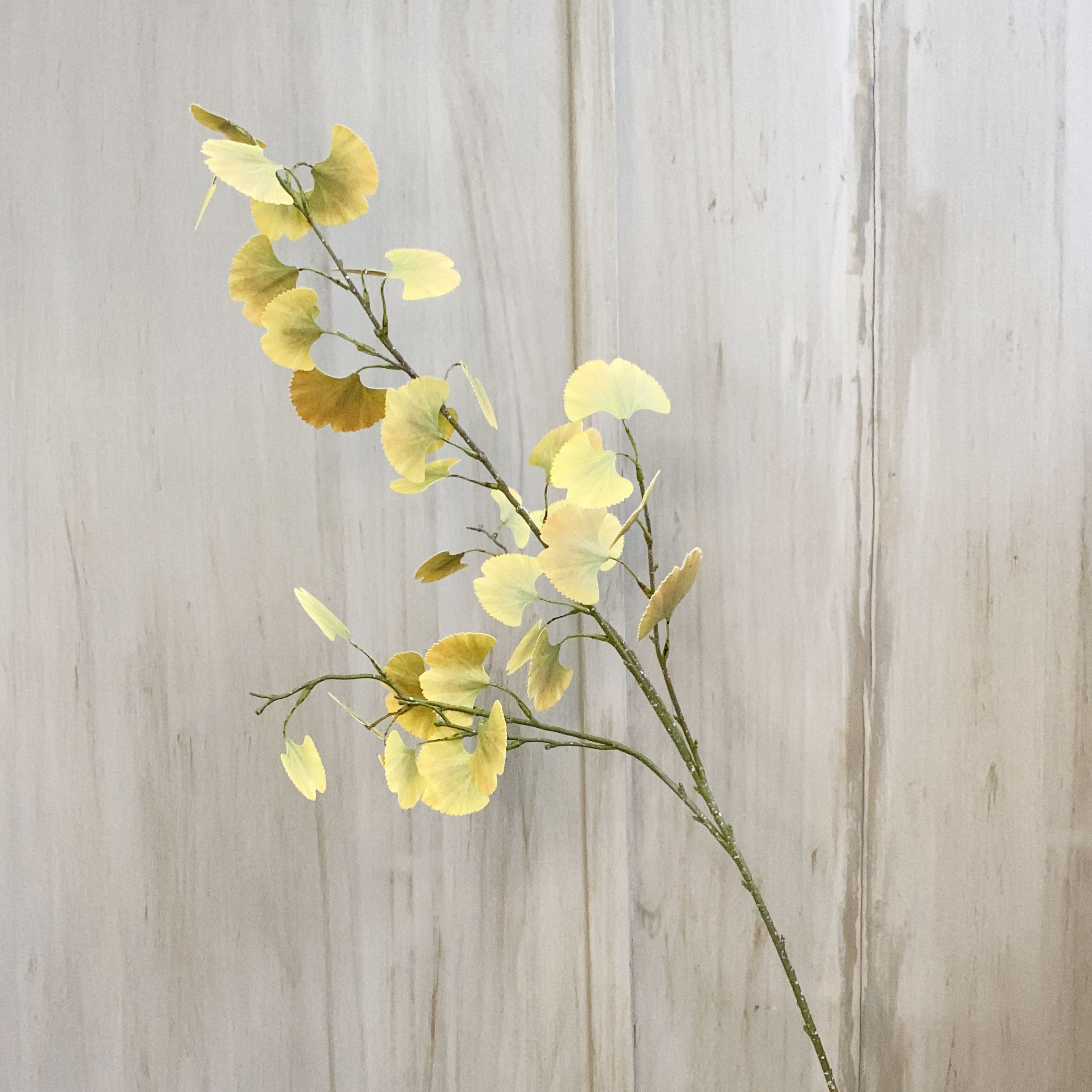 Eucalyptus Spray Yellow » Shack Homewares