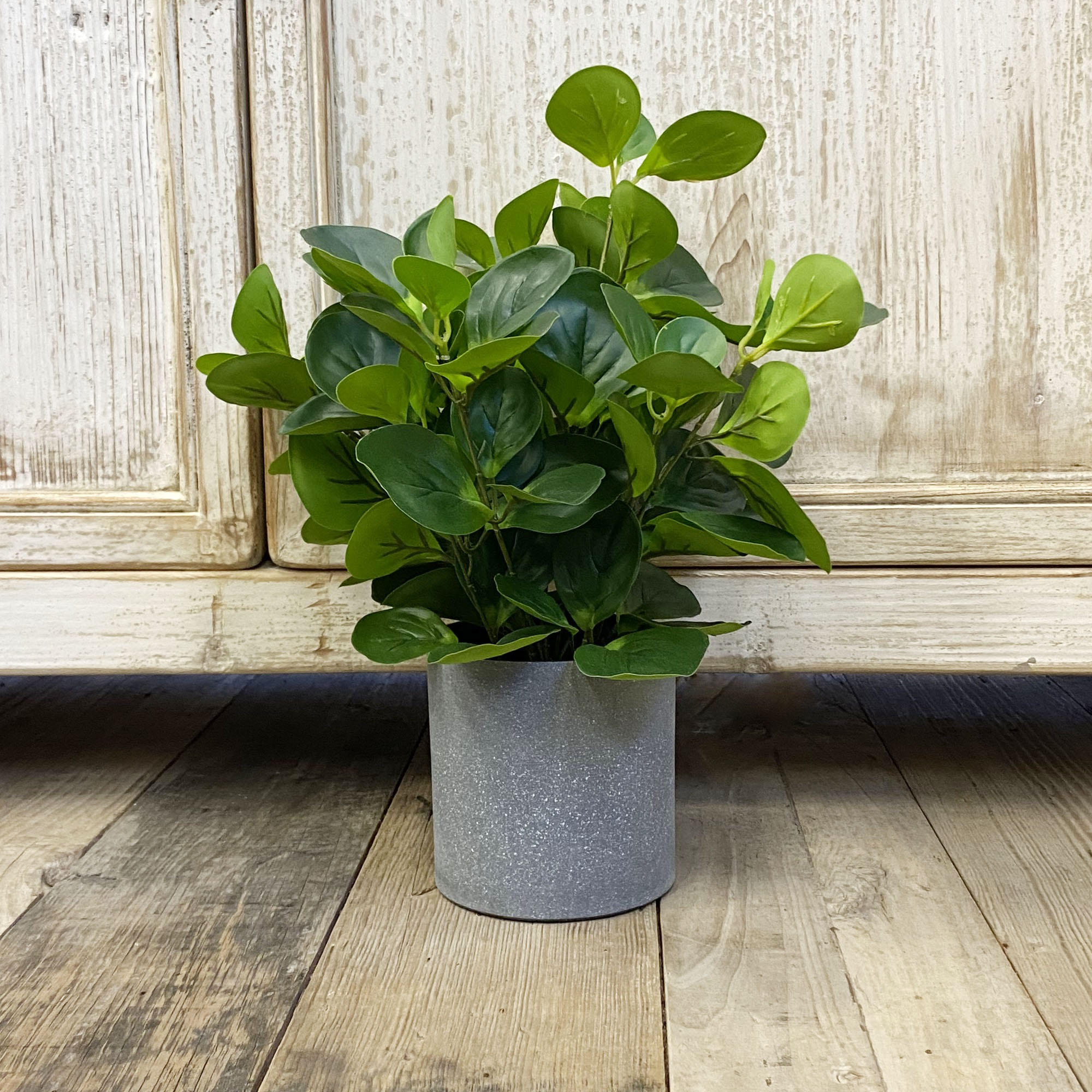 Potted Greenery Large » Shack Homewares