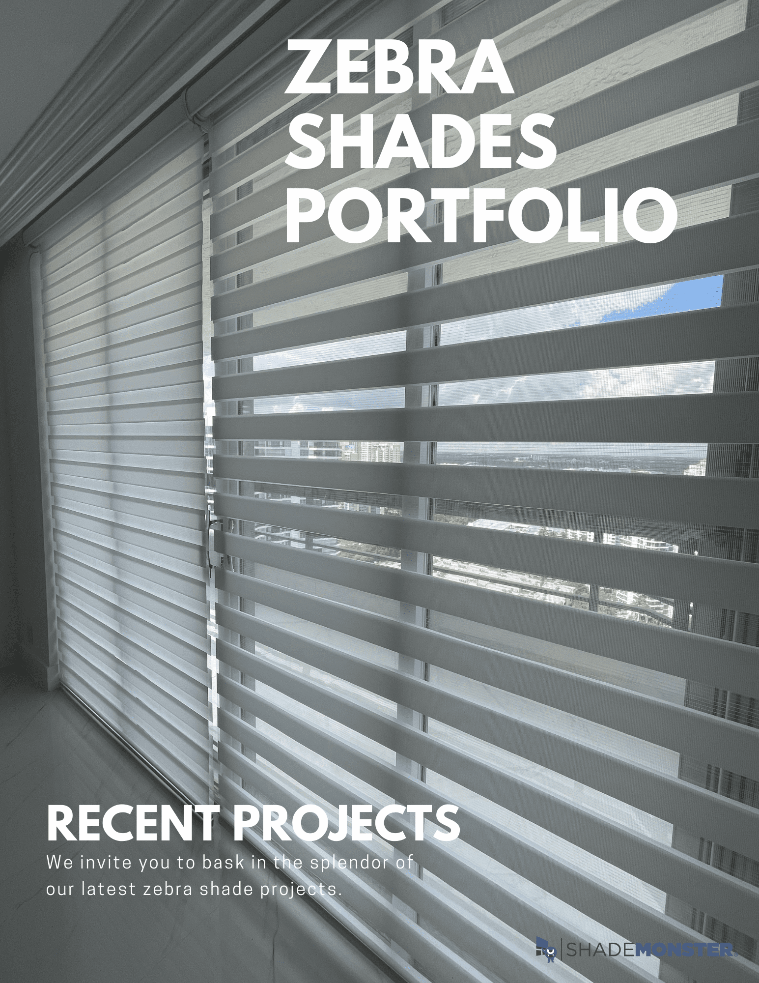 Zebra Shades Stand out with Style and Function ShadeMonster