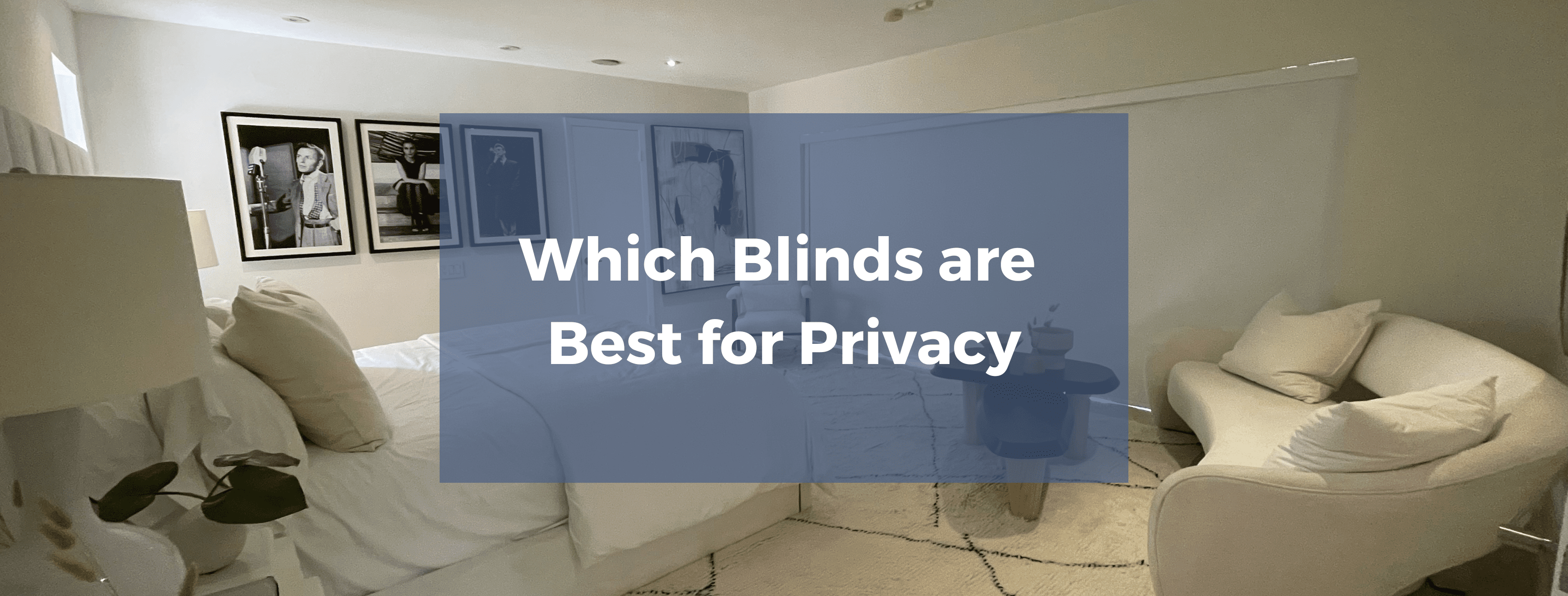 Which Blinds Provide Privacy at Night? ShadeMonster