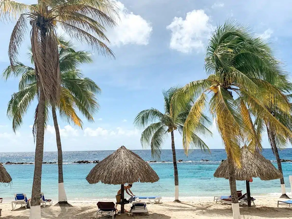 Best Area to Stay in Curacao Ultimate Neighborhood & Hotel Guide