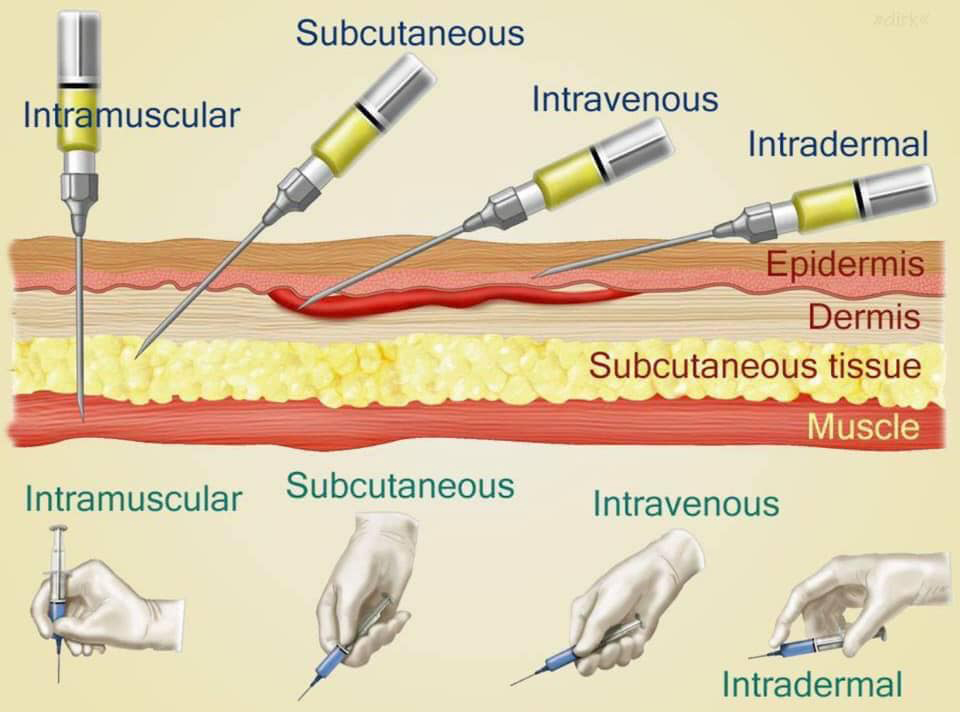 Injections for Llamas