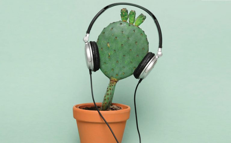 The impacts of Music on Plants | ShahreKado Blog