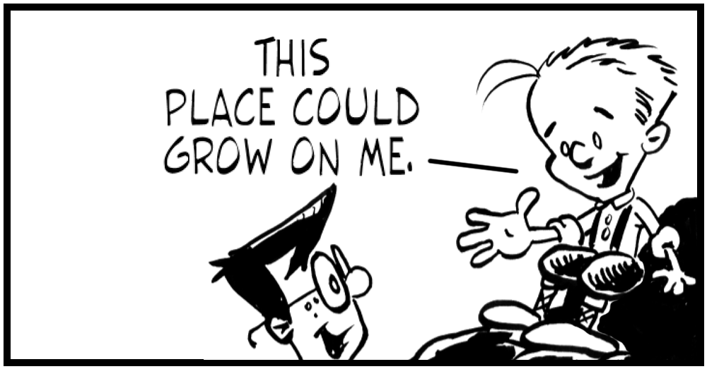 THIS PLACE COULD GROW ON ME. ShambleJam