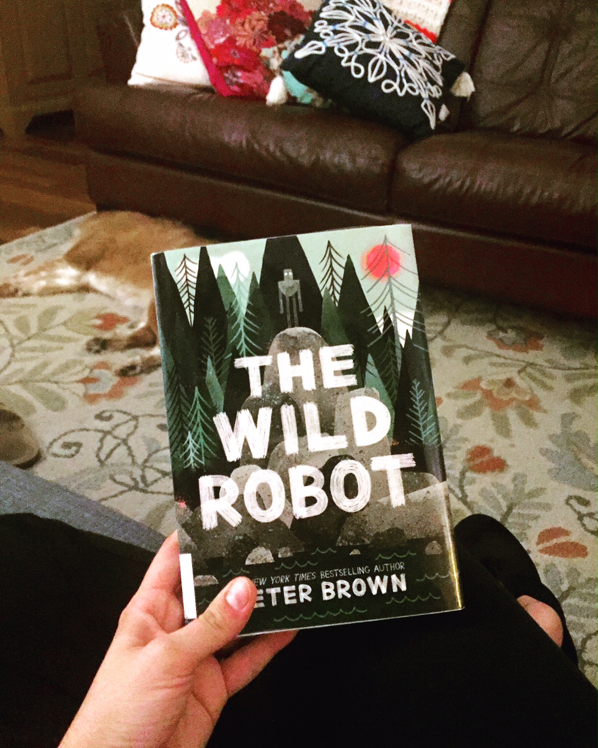 Review of The Wild Robot by Peter Brown Shanda McCloskey, Children's