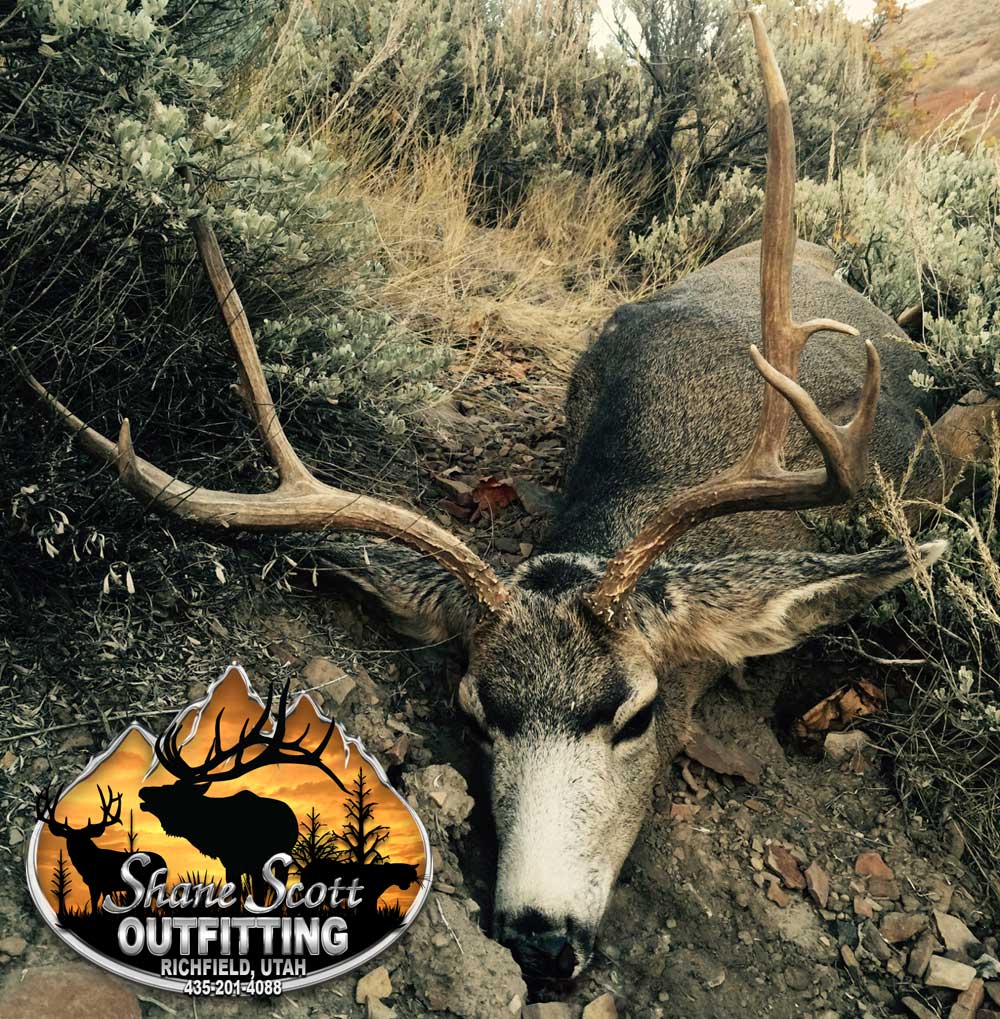 Shane Scott Outfitting Utah Guided Mule Deer Hunts
