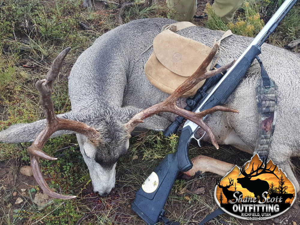 Shane Scott Outfitting Utah Guided Mule Deer Hunts