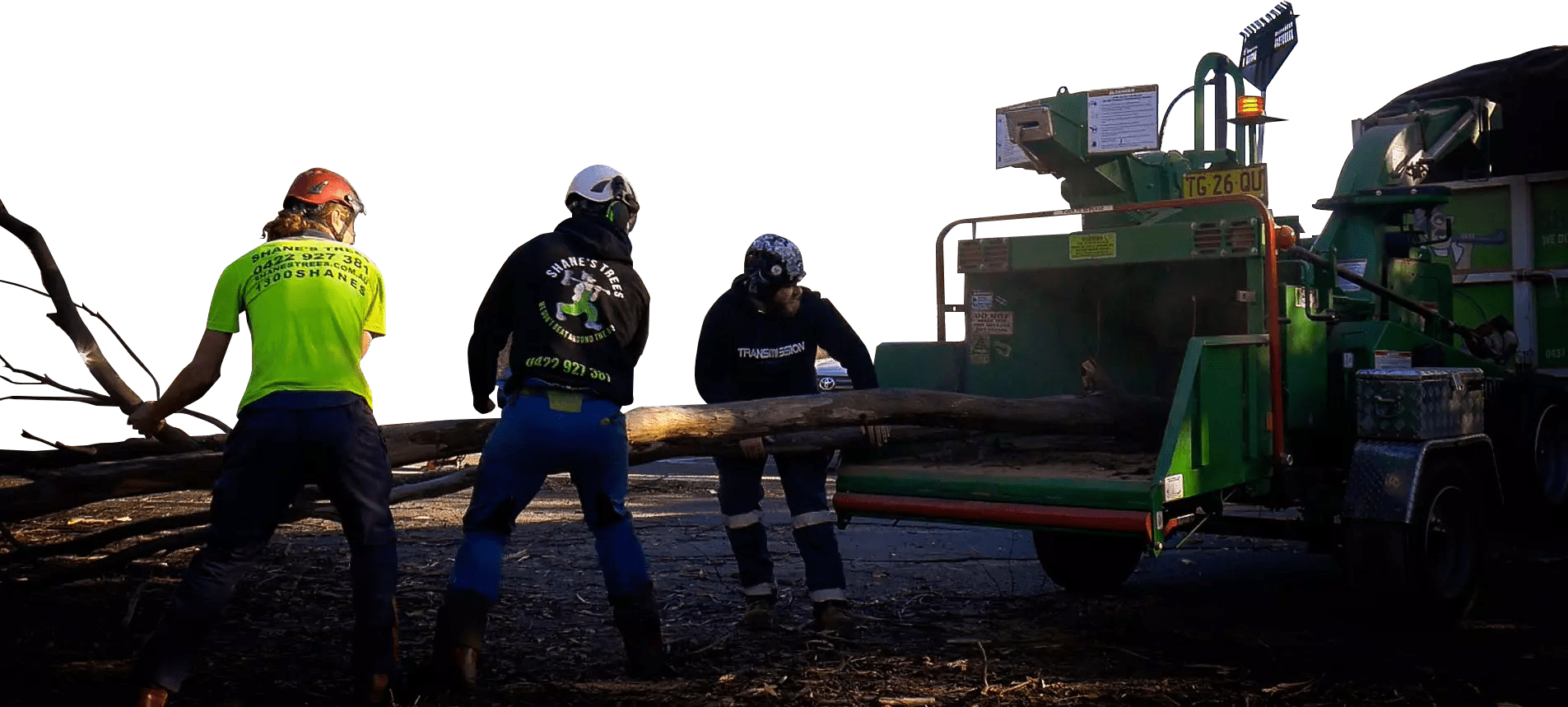 Tree Removal Service Blacktown NSW Tree Loppers Shane's Trees