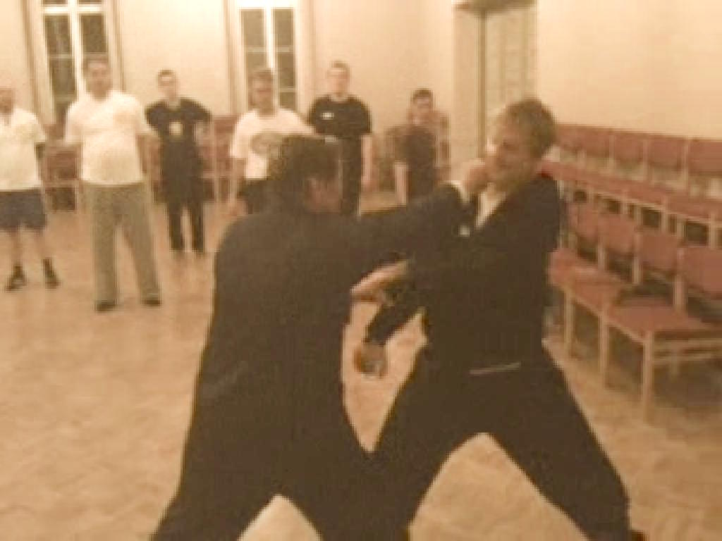 Video Clip Series Glimpses of Combat Applications from the Shaolin