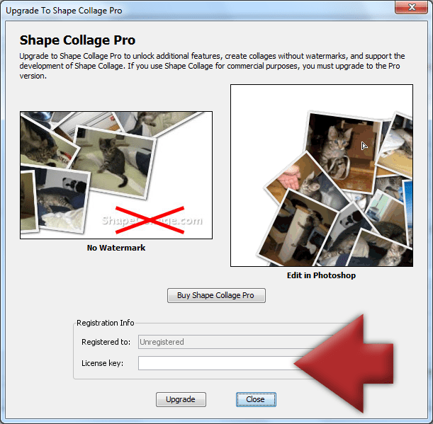Shape Collage Upgrade Instructions