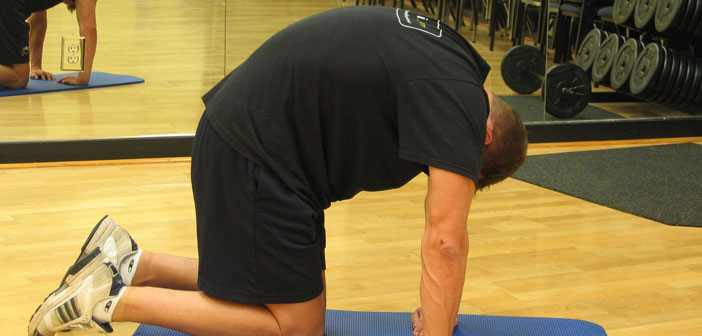 Cat Stretch Stretching Exercise Guide with Photos
