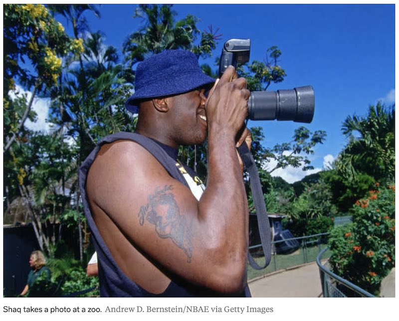 Shaq Freaks Out Critters at Miami Zoo