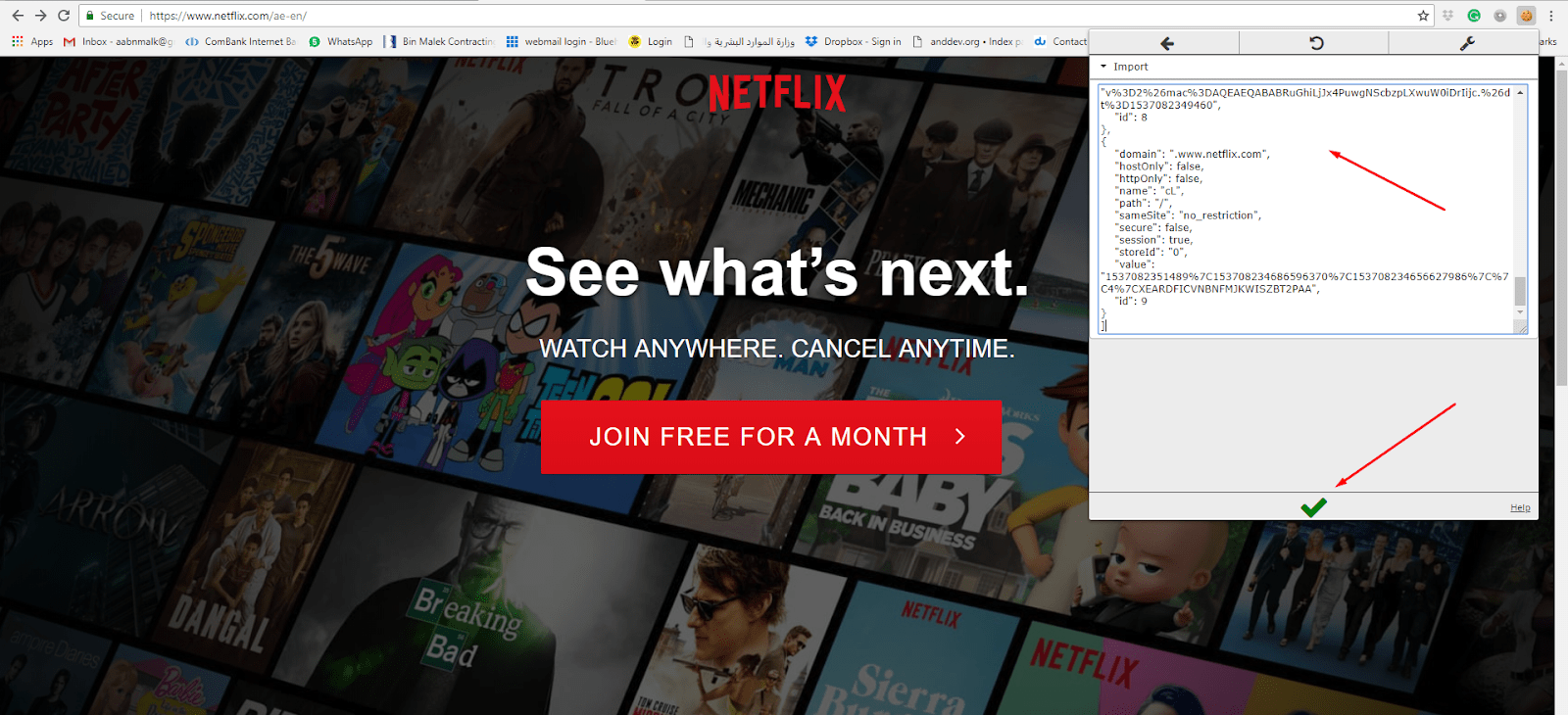 How to use Netflix Cookies