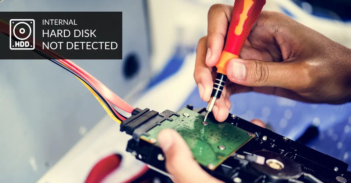 Internal Hard Drive Not Showing up in Windows 11 How to Access