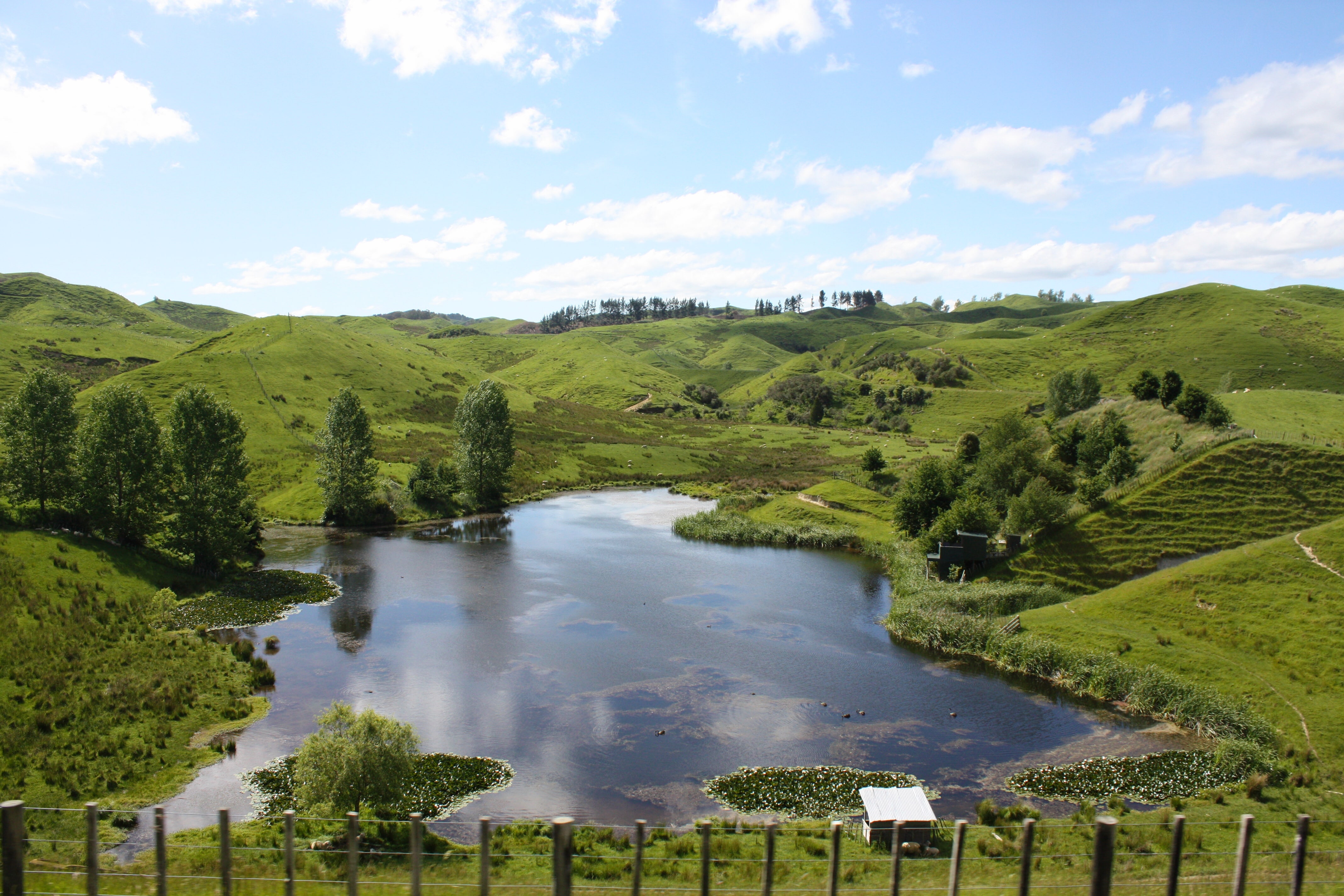 Take the Scenic Route and Enjoy the Journey Sharon Stanley Consulting