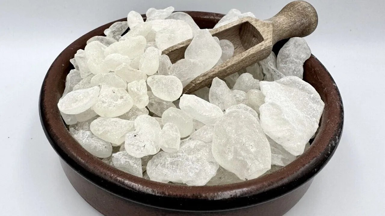 Everything About Chios Mastic Gum Sharp Coder Blog