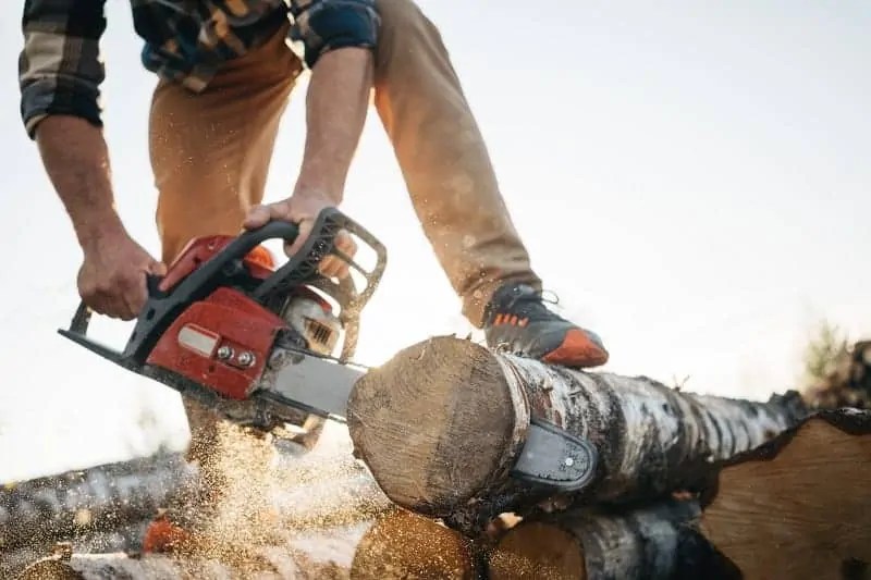 How Much Does A Chainsaw Weigh? Sharpen Up