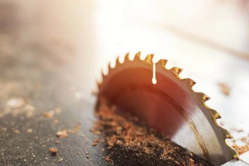 Best Table Saw Blade in 2022 [Our Reviews & Comparisons] Sharpen Up