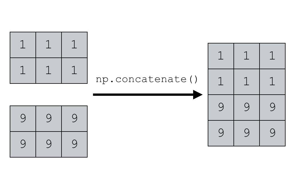 How to use the NumPy concatenate function Sharp Sight