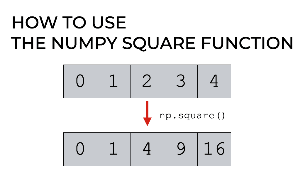 Numpy Square, Explained Sharp Sight