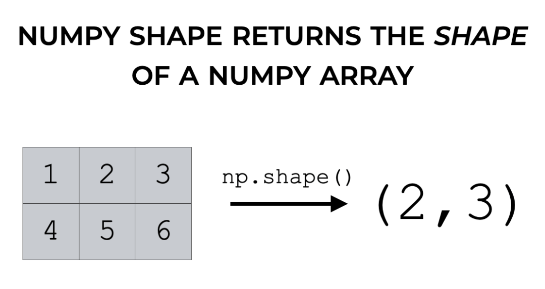 The Numpy Shape Function, Explained Sharp Sight