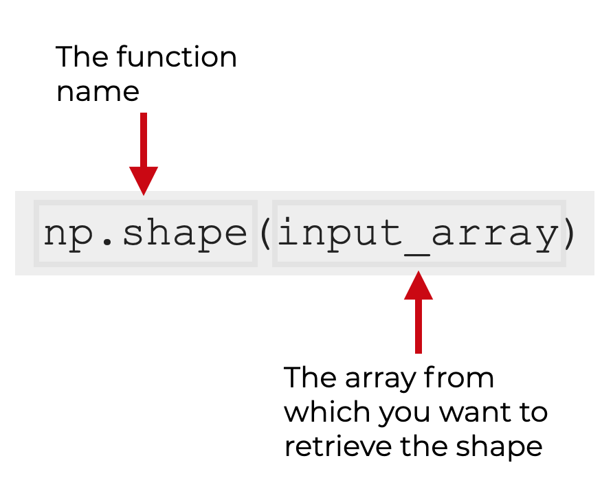 The Numpy Shape Function, Explained Sharp Sight