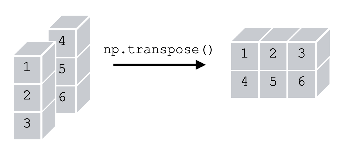 Numpy Transpose, Explained Sharp Sight