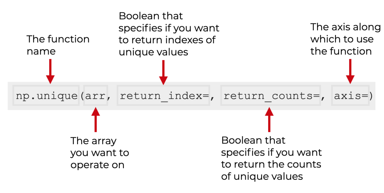 Numpy Unique, Explained RCraft