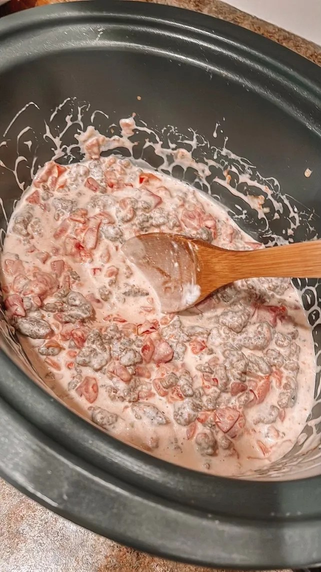 Foodie Friday Jimmy Dean Spicy Sausage Dip