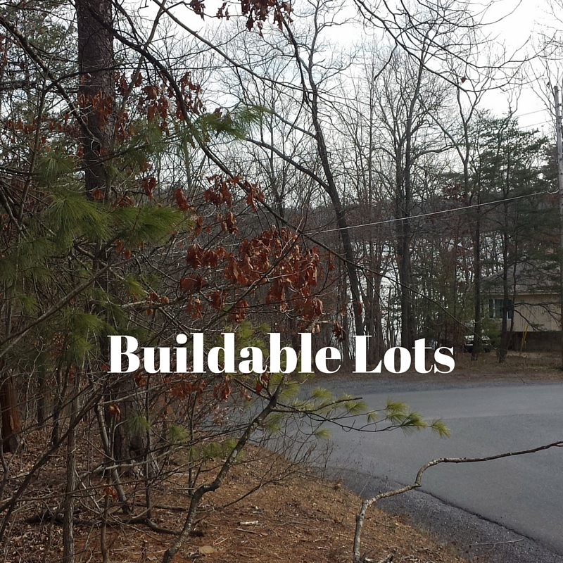 BuildableLots Shawneeland Winchester VA Real Estate Homes for Sale