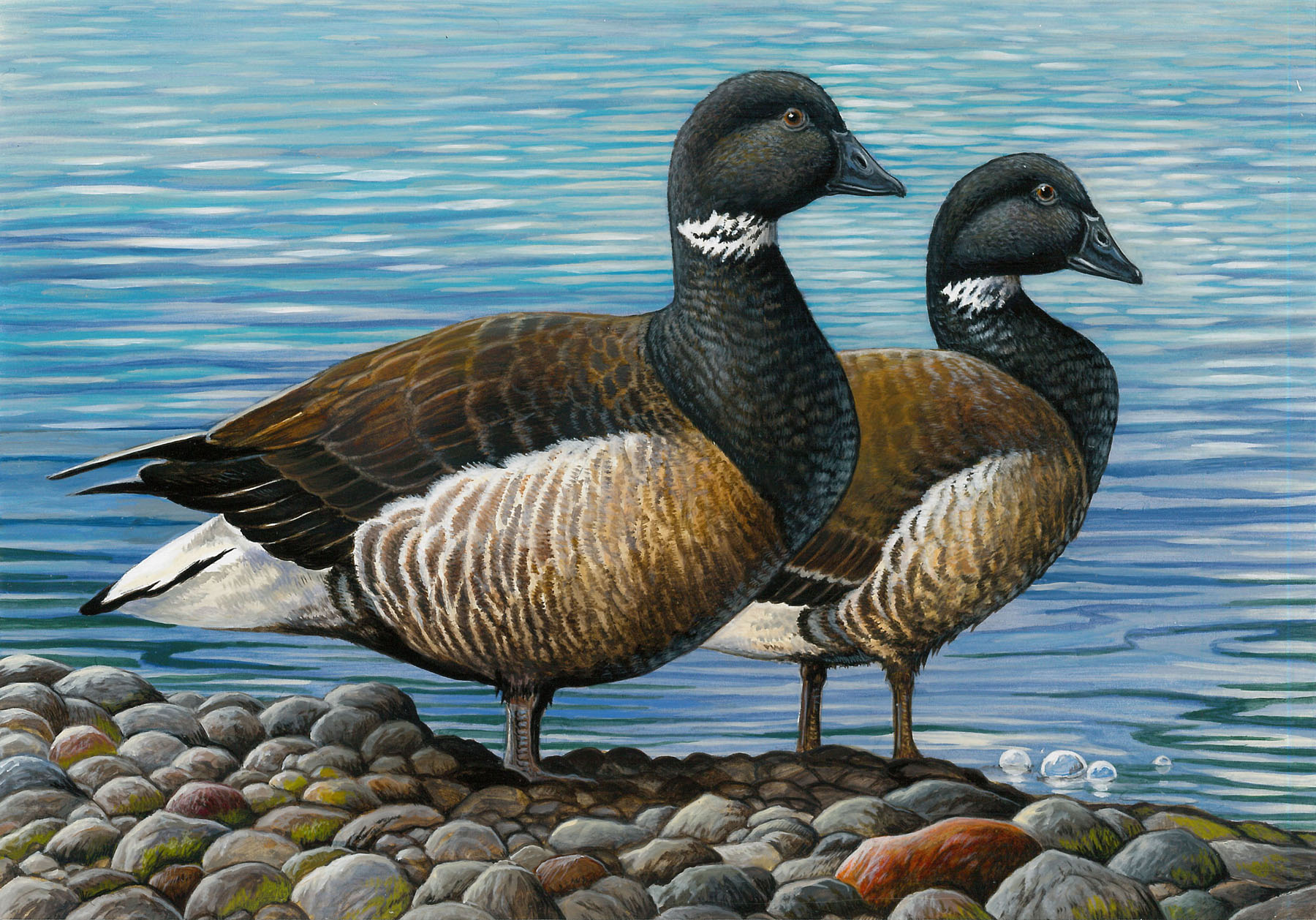 Sam Houston Duck Company