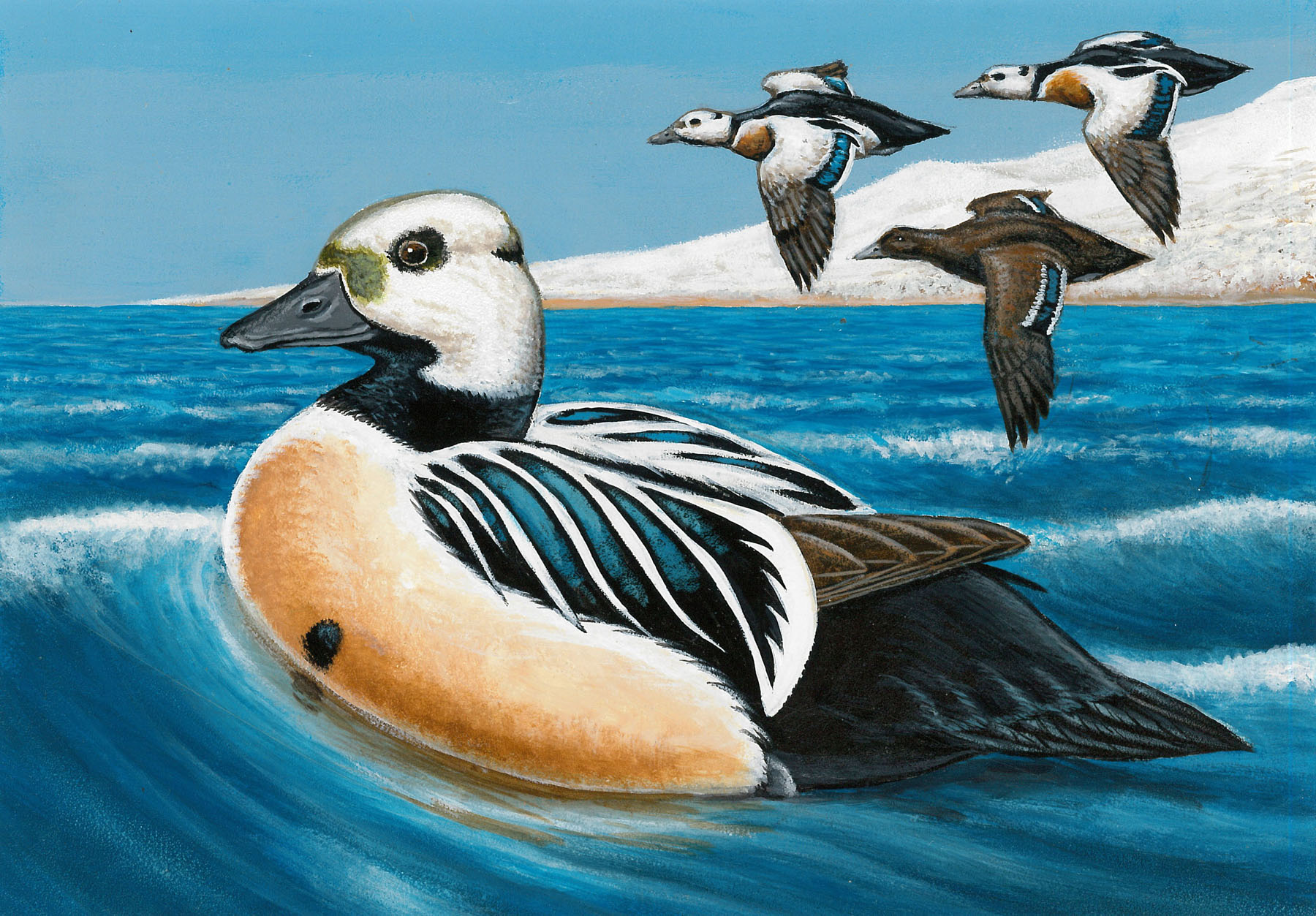 Sam Houston Duck Company