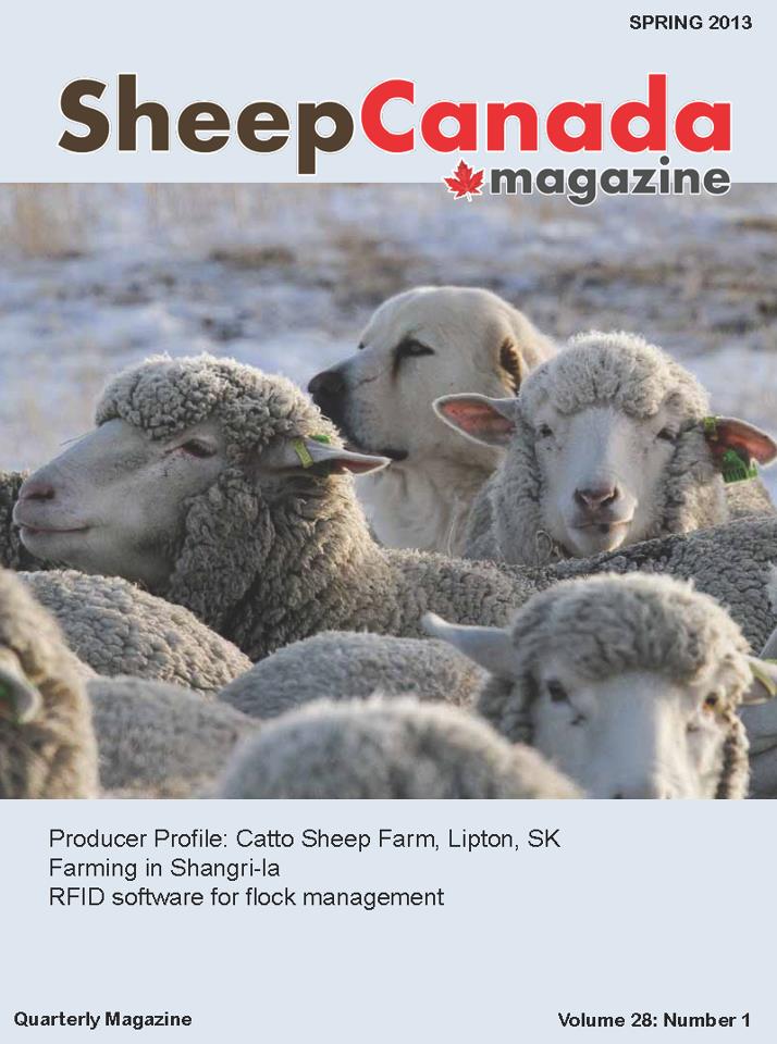 Sheep Canada Spring 2013 Sheep Canada magazine