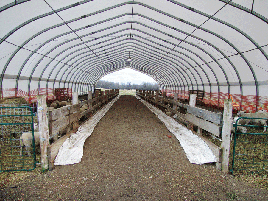 Drover's Way Farm, Perth, Ontario Sheep Canada magazine