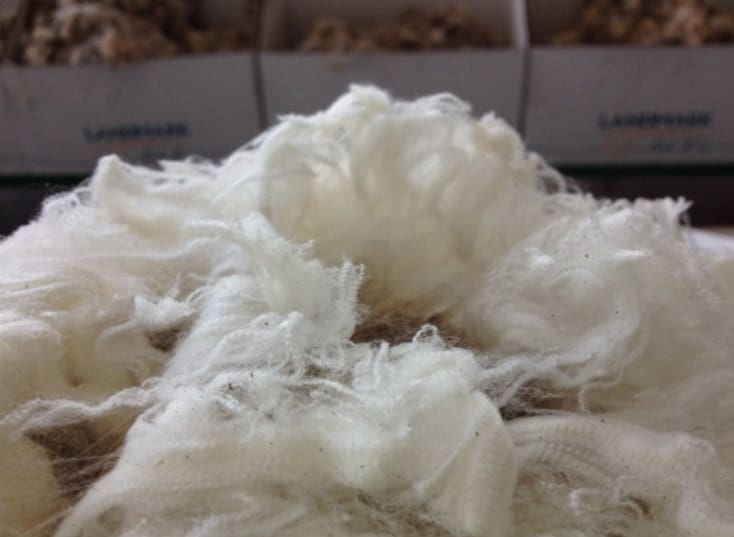 Australian wool prices lift on prompt demand, supply and exchange rate