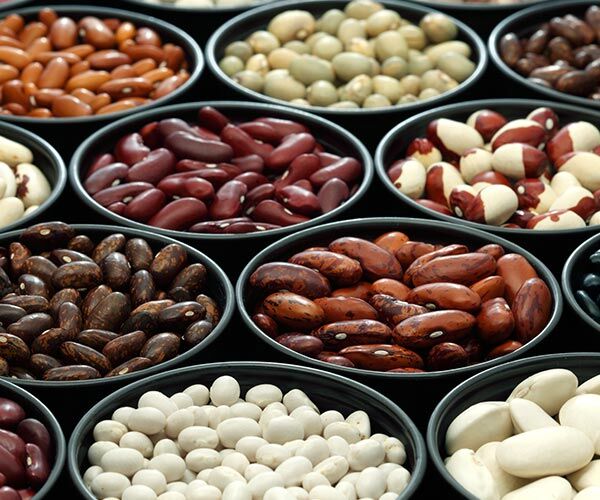 beans the magical fruit The Rhythm of Life