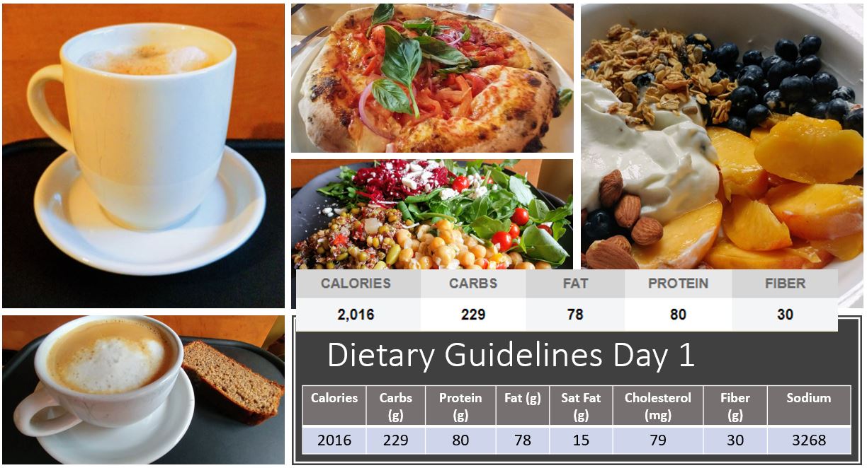 Dietary Guidelines Overview Day 1 Sheila Kealey