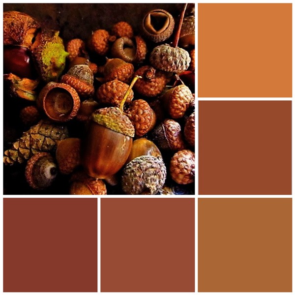 12 Fall color palettes for your kitchen SheKnows