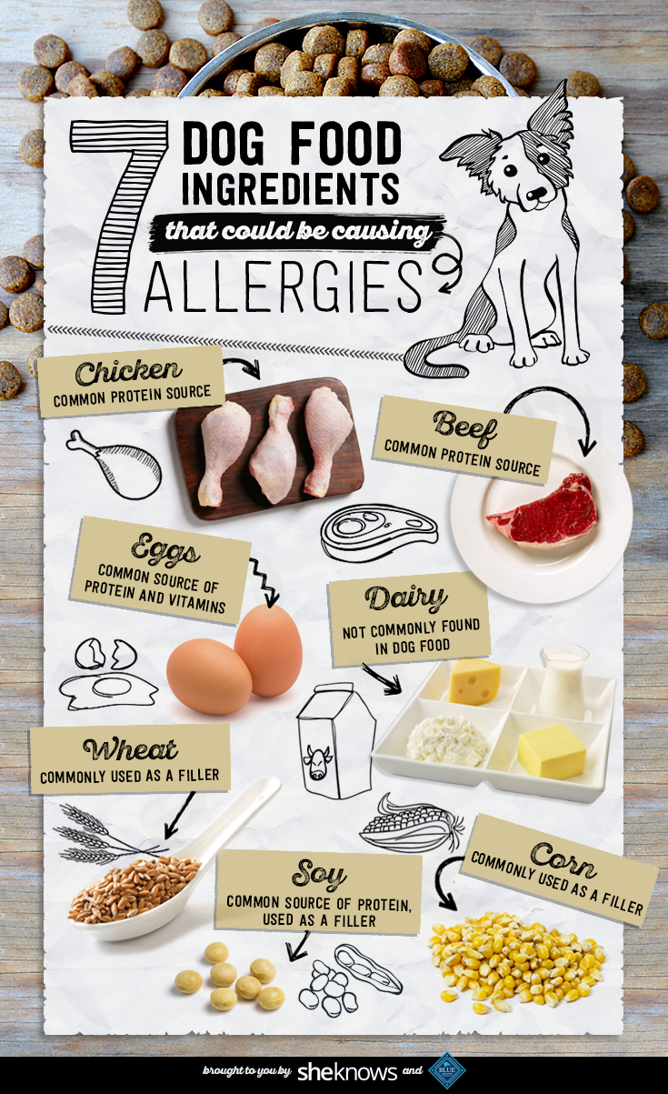 That Fancy Food You Buy Could Totally Be Triggering Allergies in Your