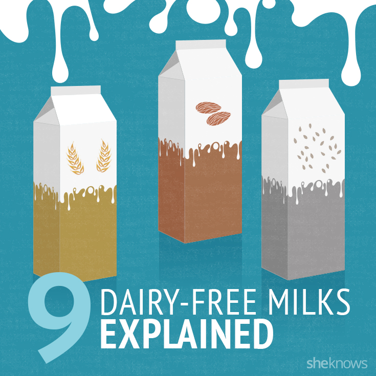 9 Alternative milks explained in one infographic