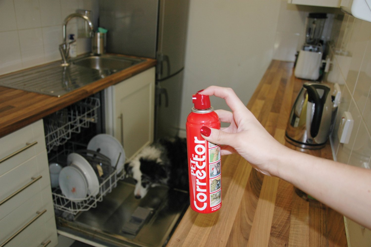 10 Ridiculous pet products we can’t believe really exist SheKnows