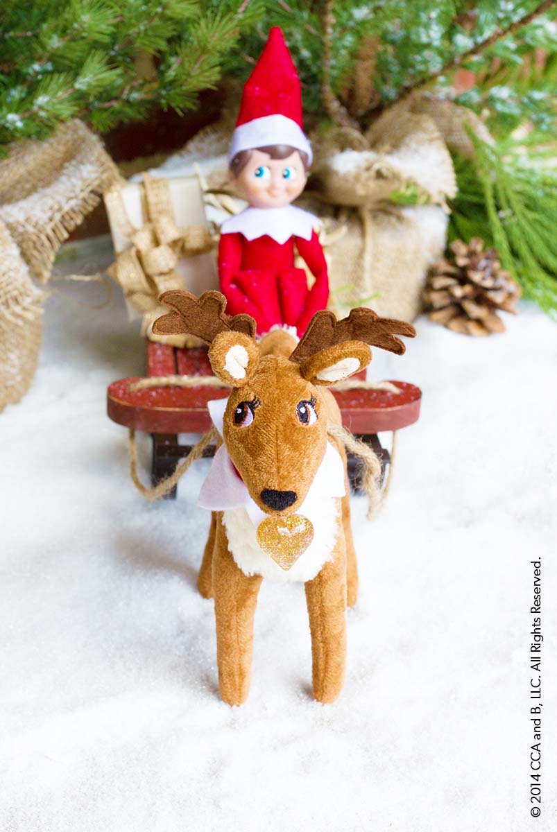 12 Fun facts about Elf on the Shelf you never knew before