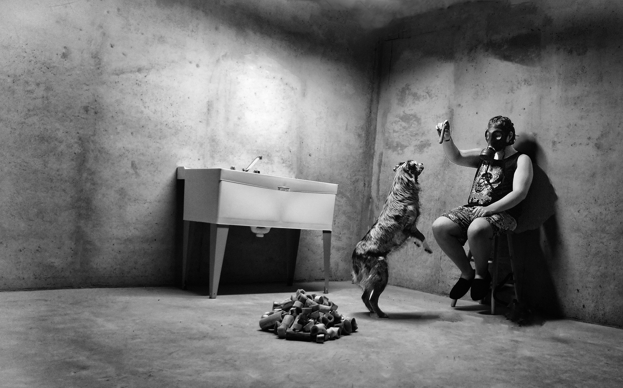 7 Dog training tips for the zombie apocalypse SheKnows