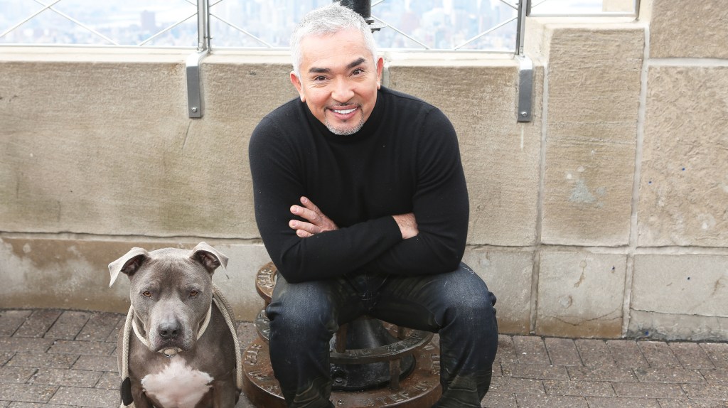 Cesar Millan Gives Us Some of His Most Surprising