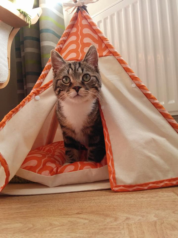 How to make a DIY cat tent so adorable you’ll wish you could fit in it