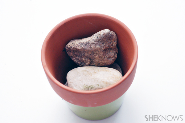 Make your own chia pet!