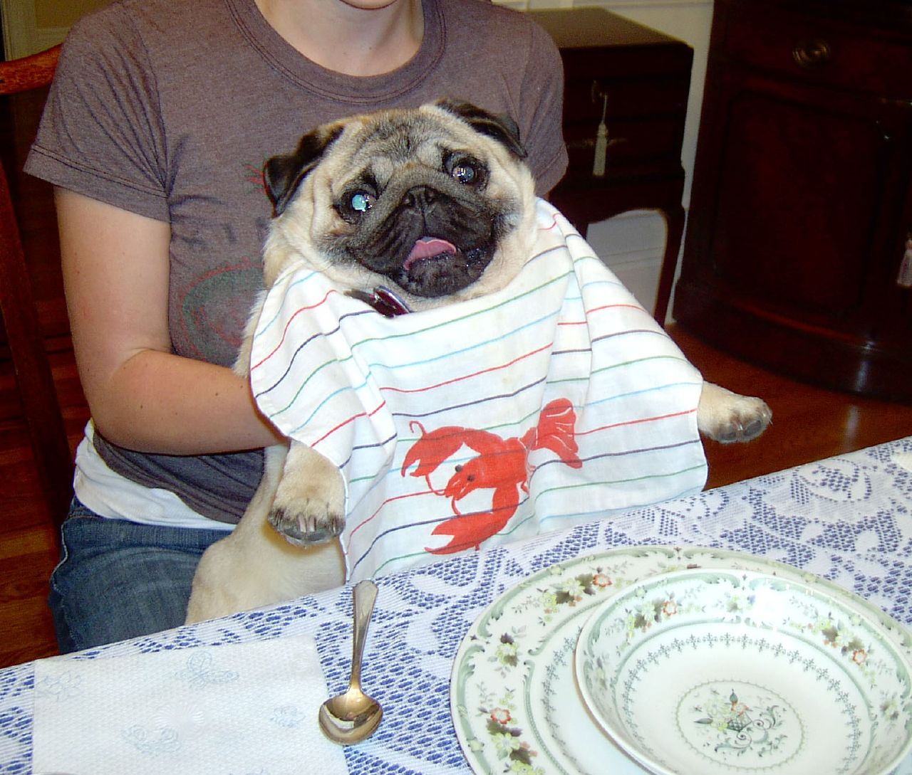 7 Weird things obsessed dog owners do SheKnows